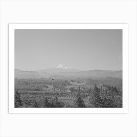 Orchards Of Hood River Valley, Oregon, With Mount Hood In The Background By Russell Lee Art Print