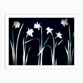 Daffodils 1 Art Print