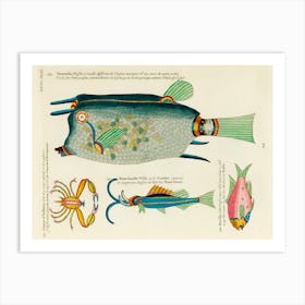Colourful And Surreal Illustrations Of Fishes And Crab Found In Moluccas (Indonesia) And The East Indies, Louis Renard (1678 1746)(87) Art Print