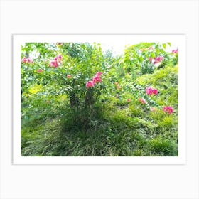 Garden 13 By Binod Dawadi Art Print