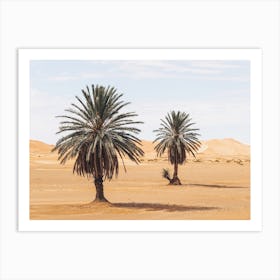 Desert Palms Art Print