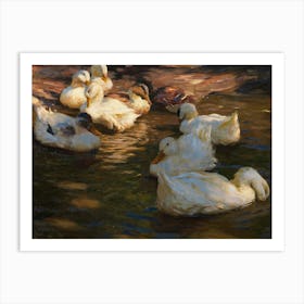 Vintage Ducks In The Pond 1 Art Print