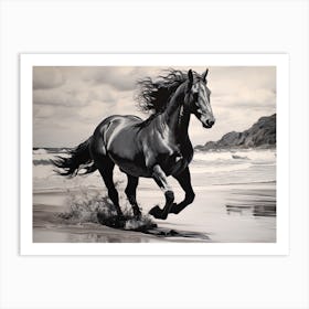A Horse Oil Painting In Flamenco Beach, Puerto Rico, Landscape 2 Art Print