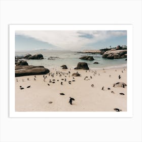Penguins On The Beach In South Africa Art Print