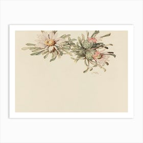 Cactus Flowers Art Print