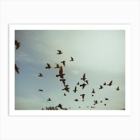 Silhouettes Of Flying Pigeons In The Skies 3 Art Print