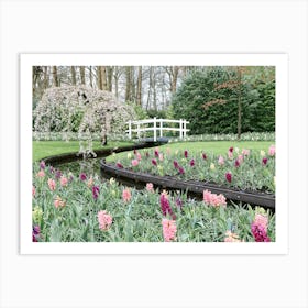  Tulips in the Keukenhof | Floral photography | The Netherlands Art Print