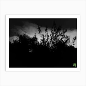 Tree In The Dark 20240115190842pub Art Print