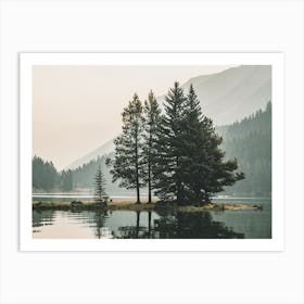 Washington Lake Island Art Print