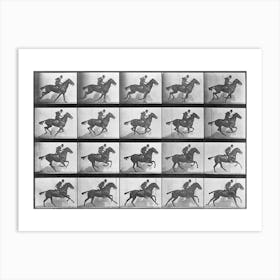 Galloping Horse Plate 628 Art Print