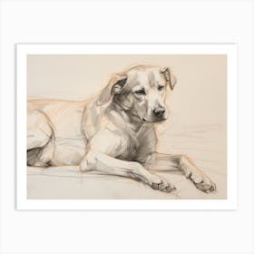 Labrador Retriever Sketch Art Print