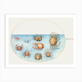 Nine Crabs (1575–1580), Joris Hoefnagel Art Print