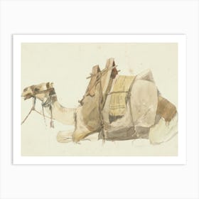 Vintage Camel Art Print