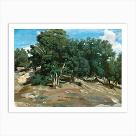 Fontainebleau Oak Trees At Bas Bréau, Camille Pissarro Art Print