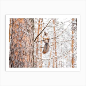 Squirrel In Tree Art Print