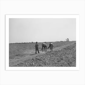 Son Of Tenant Farmer Going To The Field With Mules, Muskogee, Oklahoma, See General Caption Number 20 By Russell Art Print