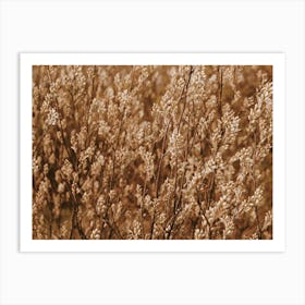 Wheat Harvest Art Print