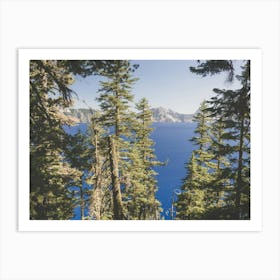Crater Lake Forest Art Print