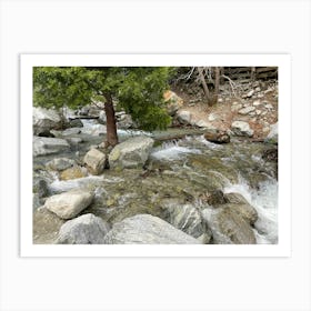 Stream In The Woods 3 Art Print