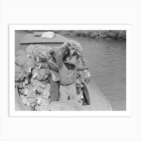 Unloading Oysters From Small Boats, Olga, Louisiana By Russell Lee Art Print