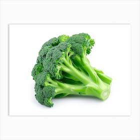 Broccoli 3 Art Print