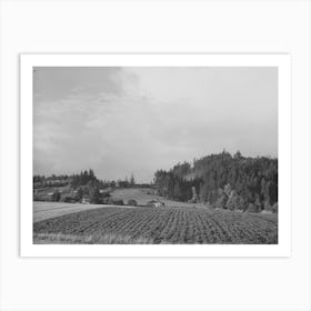 Fall Gardens And Orchards, Willamette Valley, Clackamas County, Oregon, This Section Produces Truck For Portland Ar Art Print