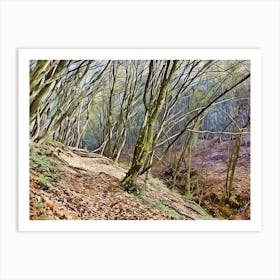 Serene Forest Pathway with Stream in Orobie Alps. This image captures a tranquil forest scene with a small stream flowing through it. The forest is dense with trees, some of which are covered in moss and ivy. The ground is littered with fallen leaves, and the stream is bordered by rocks and vegetation. The overall atmosphere is peaceful and serene, making it a perfect representation of untouched natural beauty Art Print