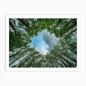 Forest Trees Art Print