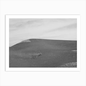 Untitled Photo, Possibly Related To Harrowing Summer Fallow (Wheat Land), Nez Perce County, Idaho By Russell Lee Art Print