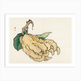 Etrog, Kōno Bairei Art Print