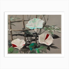 Morning Glory, Hand Colored Collotype From Some Japanese Flowers (1896), Kazumasa Ogawa Art Print