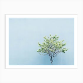 Lone Tree 4 Art Print