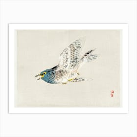 European Herring Gull, Kōno Bairei Art Print