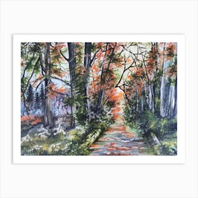 Path In The Woods 2 Art Print