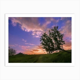 Lone Tree At Sunset 2 Art Print