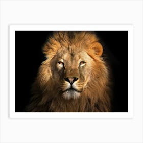 Lion Portrait Art Print