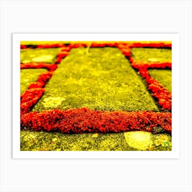 Moss 20161125 836rt1pub Art Print