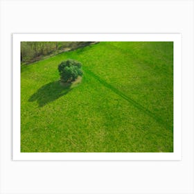 Lone Tree In A Green Field Art Print