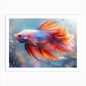 Siamese Catfish 1 Art Print