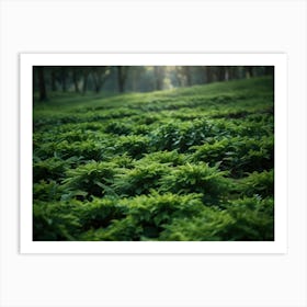 green nature 4 Art Print