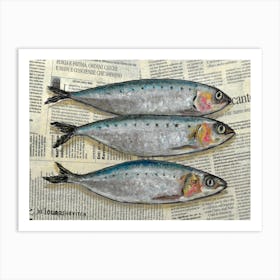 Three Fishes On Newspaper Mackerel Sardine Ocean Sealife Rustic Kitchen Seafood Decor Art Print