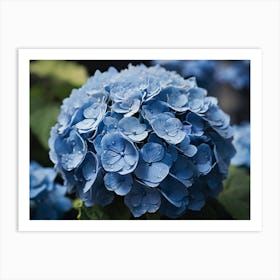 Blue Hydrangea paintings art print Art Print