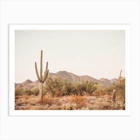 Desert Saguaro View Art Print