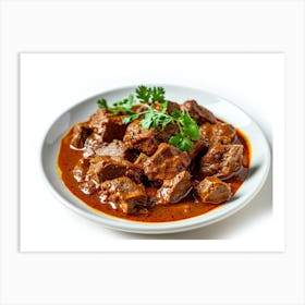Plate Of Beef Curry Art Print