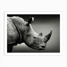 Rhinoceros Art Print