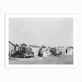 Migrant Camp, Weslaco Texas, Local Employment Men Say That There Was No Need For Migrant Labor To Handle The Art Print