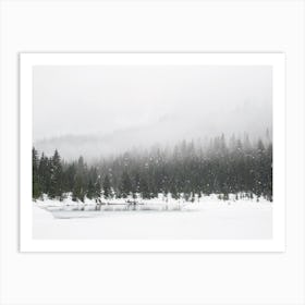 Foggy Snow Forest Art Print