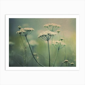 Nostalgic Nature No 4 1 Art Print