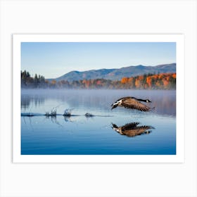 Canadian Geese 40 Art Print