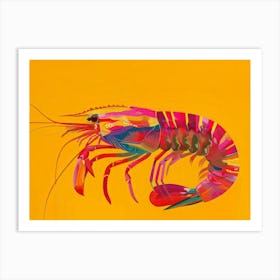 Colorful Shrimp Art Print